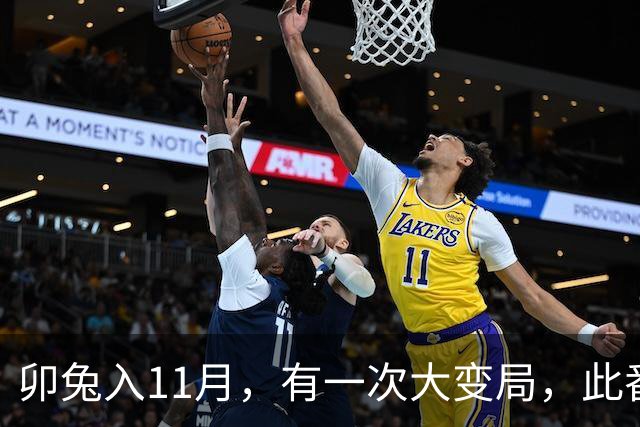 卯兔入11月，有一次大变局，此番转折宜静不宜动，心中有数别声张